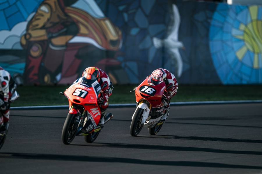 第7戦は初のコースながらアジが8位に入る