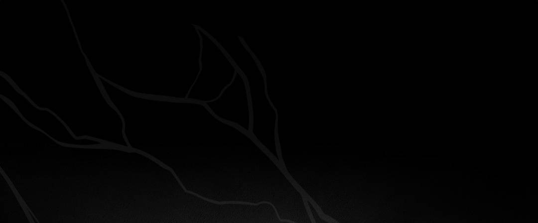 2026 Honda×Aston Martin Aramco F1™ Team New Partnership Launch Announcement