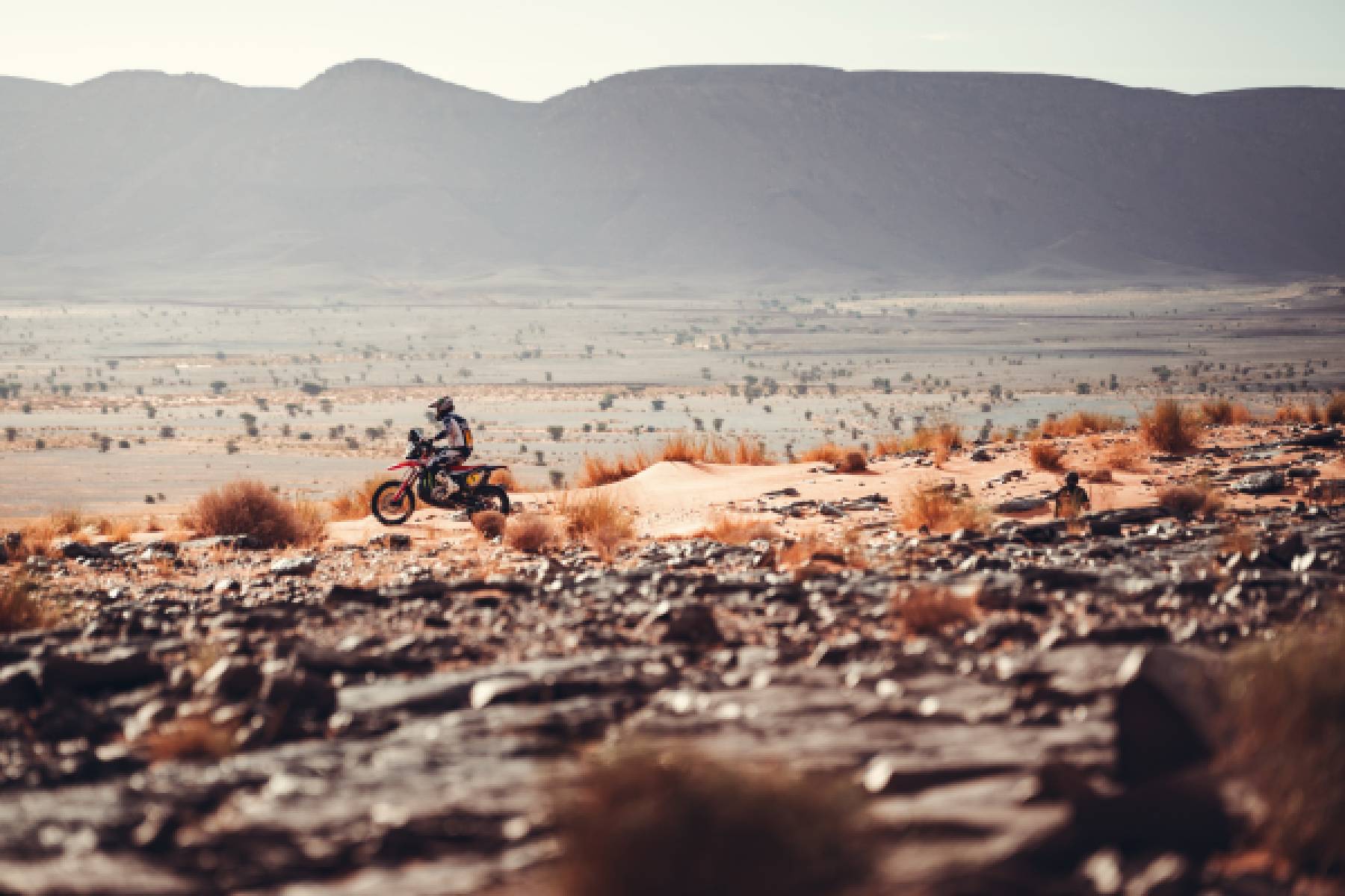 Van Beveren sets the pace for Honda on stage four as Brabec returns to the overall podium