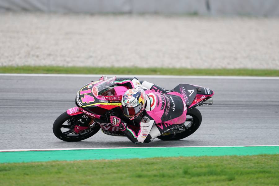 トニ・アルボリーノ(第9戦)