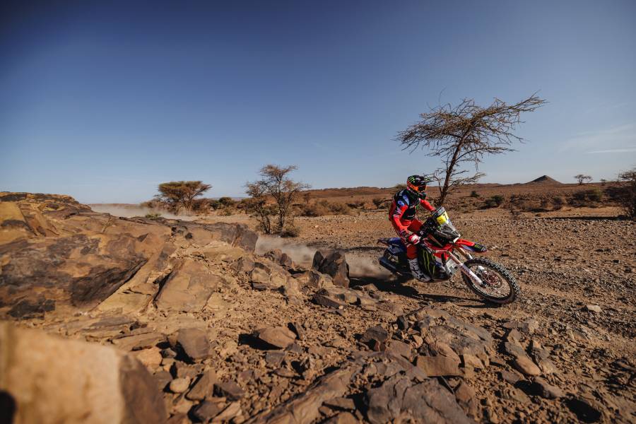 Quintanilla Rises In The Morocco Desert